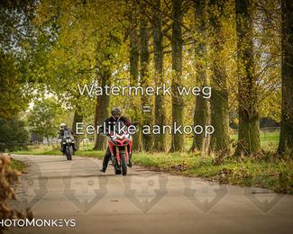 Herfstrit Moerzeke photo