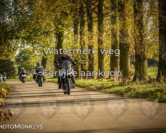 Herfstrit Moerzeke photo