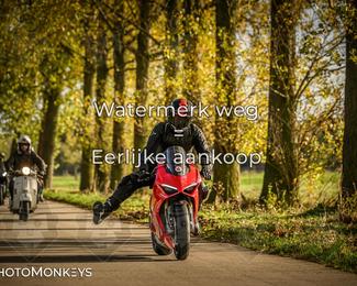 Herfstrit Moerzeke photo