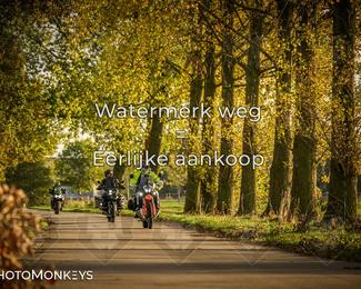 Herfstrit Moerzeke photo