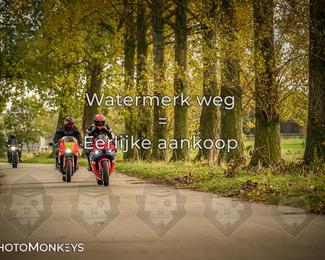 Herfstrit Moerzeke photo