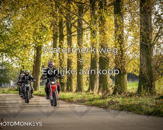 Balade d’automne Moerzeke photo