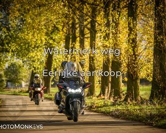 Herfstrit Moerzeke photo