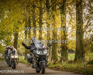 Herfstrit Moerzeke photo