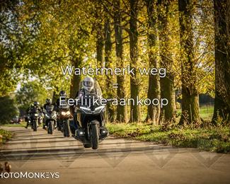 Herfstrit Moerzeke photo