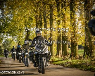 Herfstrit Moerzeke photo