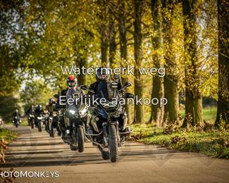 Herfstrit Moerzeke photo