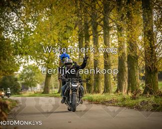 Herfstrit Moerzeke photo