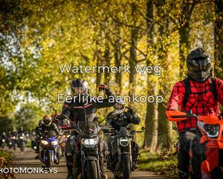 Herfstrit Moerzeke photo