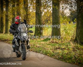 Herfstrit Moerzeke photo