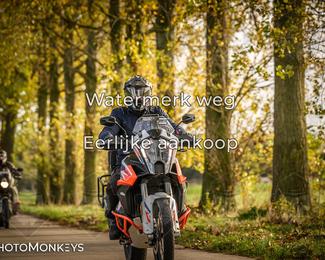 Herfstrit Moerzeke photo