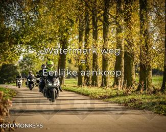 Herfstrit Moerzeke photo