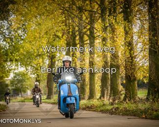 Herfstrit Moerzeke photo