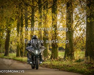 Herfstrit Moerzeke photo