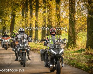 Herfstrit Moerzeke photo