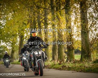 Herfstrit Moerzeke photo