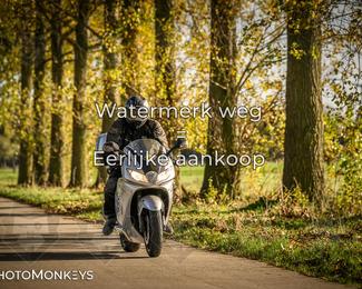 Herfstrit Moerzeke photo