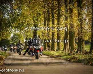 Herfstrit Moerzeke photo