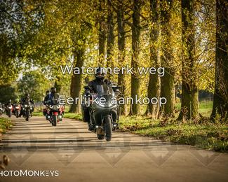 Herfstrit Moerzeke photo