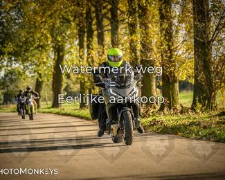 Herfstrit Moerzeke photo