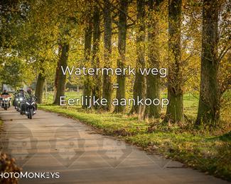 Herfstrit Moerzeke photo