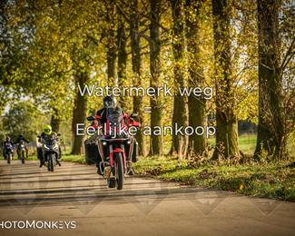 Herfstrit Moerzeke photo