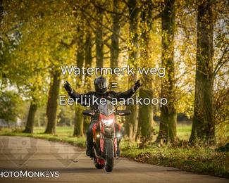 Herfstrit Moerzeke photo