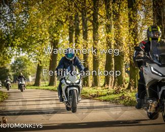 Herfstrit Moerzeke photo