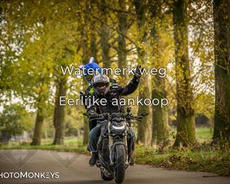 Herfstrit Moerzeke photo