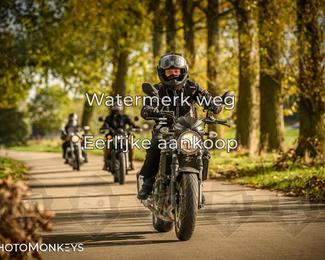 Herfstrit Moerzeke photo