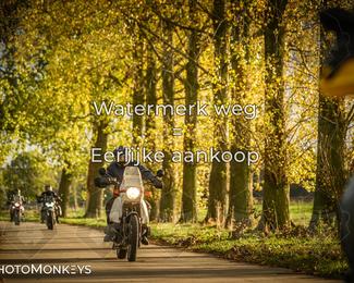 Herfstrit Moerzeke photo