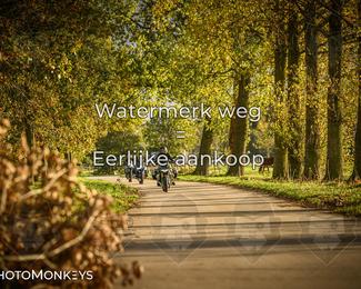 Herfstrit Moerzeke photo