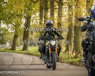 Herfstrit Moerzeke photo