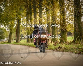 Herfstrit Moerzeke photo