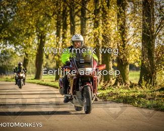 Herfstrit Moerzeke photo