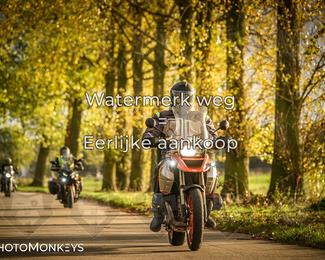 Herfstrit Moerzeke photo