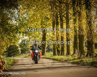 Herfstrit Moerzeke photo