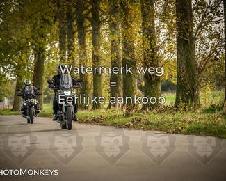 Herfstrit Moerzeke photo