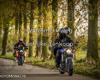 Herfstrit Moerzeke photo