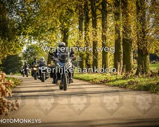 Herfstrit Moerzeke photo