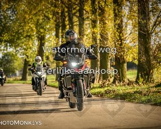 Herfstrit Moerzeke photo