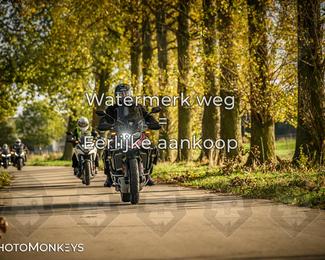 Herfstrit Moerzeke photo