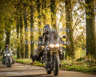 Herfstrit Moerzeke photo