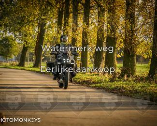 Herfstrit Moerzeke photo