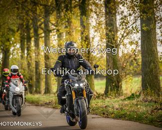 Herfstrit Moerzeke photo