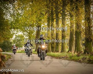 Herfstrit Moerzeke photo