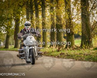 Herfstrit Moerzeke photo