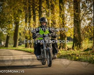 Herfstrit Moerzeke photo