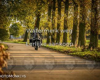 Herfstrit Moerzeke photo