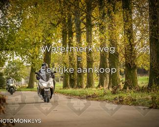 Herfstrit Moerzeke photo